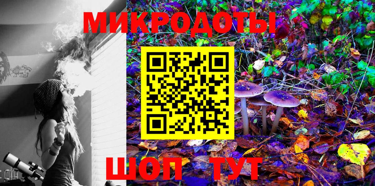 хочу   Вход с VPN  Россия  Псилоцибиновые грибы мицелий 