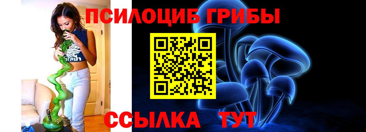 Псилоцибиновые грибы мицелий Россия